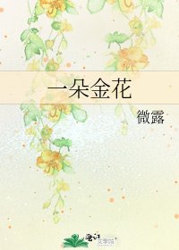 一朵金花